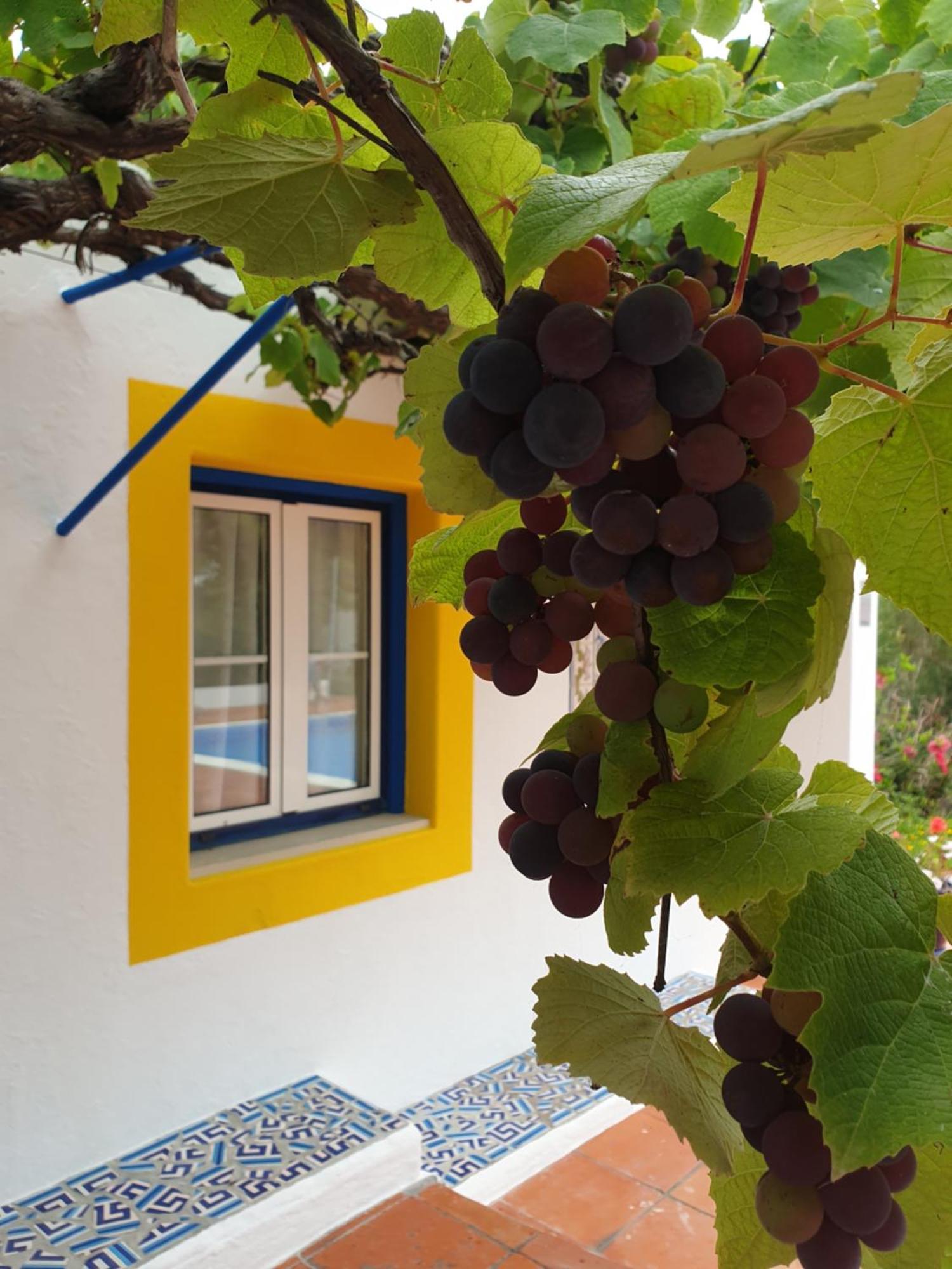 Willa Sondela Self Catering São Martinho do Porto Zewnętrze zdjęcie