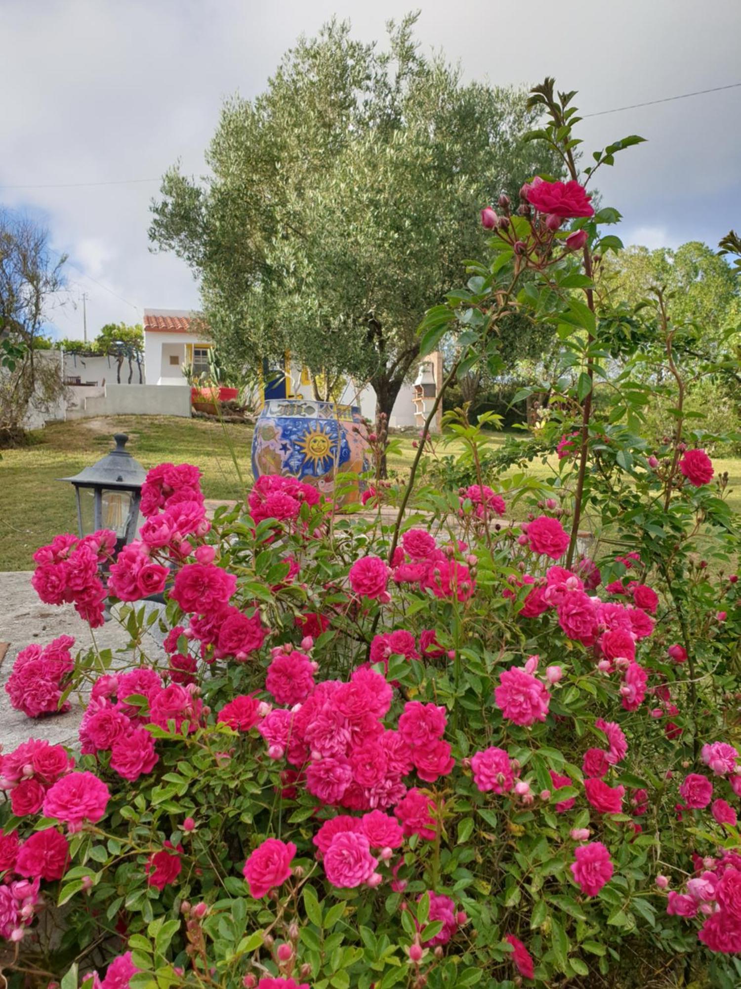 Willa Sondela Self Catering São Martinho do Porto Zewnętrze zdjęcie